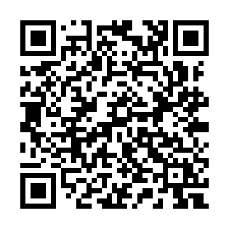 QR code for 241YEX