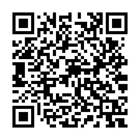 QR code for 246VSP
