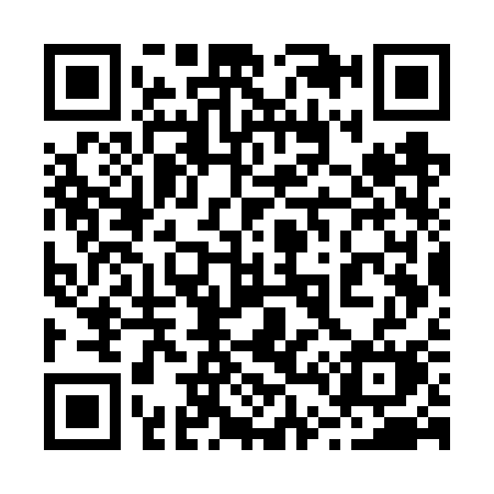 QR code for 247VSM