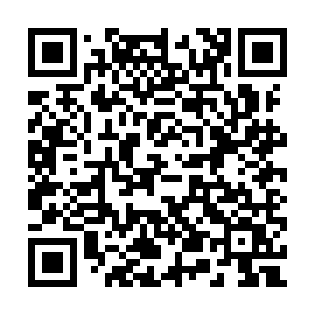 QR code for 250IMV