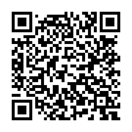 QR code for 250LVL