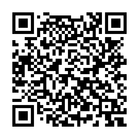 QR code for 250NQP