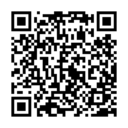 QR code for 250TOR