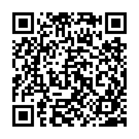 QR code for 251GIN
