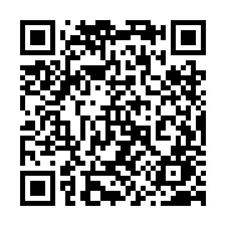 QR code for 255SON