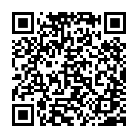 QR code for 256PNS