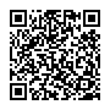 QR code for 289DFZ