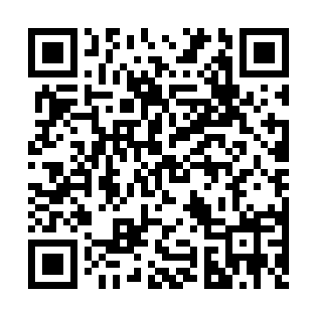 QR code for 290GMX
