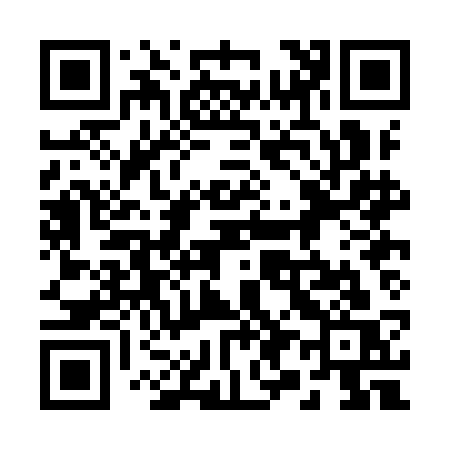 QR code for 290ICS