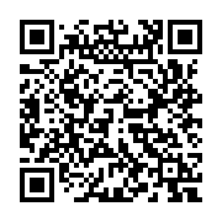 QR code for 290ISH