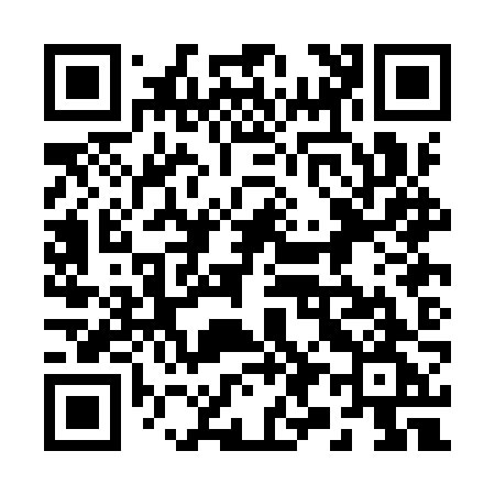 QR code for 290IZG