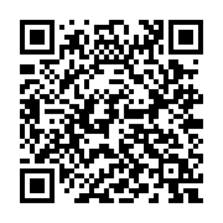 QR code for 290PAT