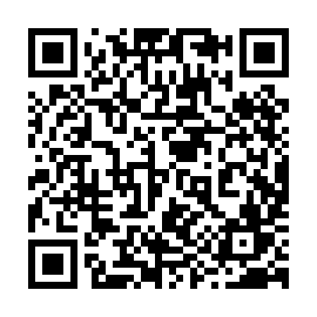 QR code for 290PIV