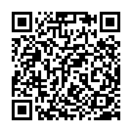 QR code for 290QEX