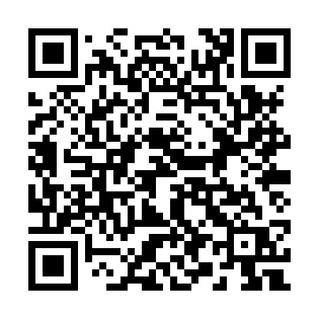 QR code for 290XSR