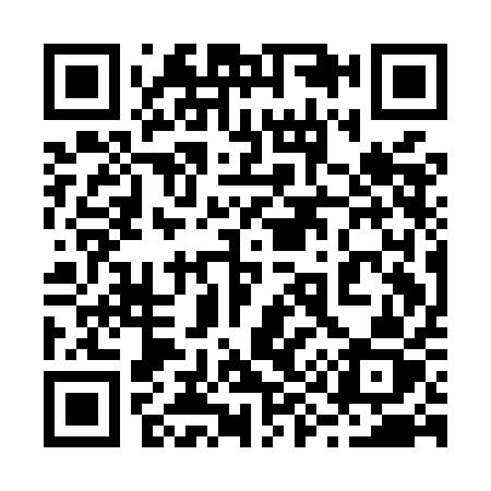 QR code for 291MAZ