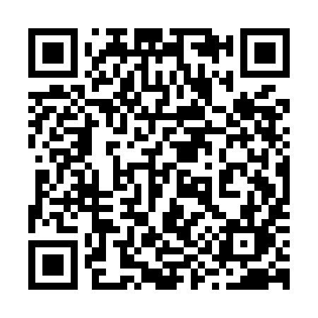 QR code for 291MIL