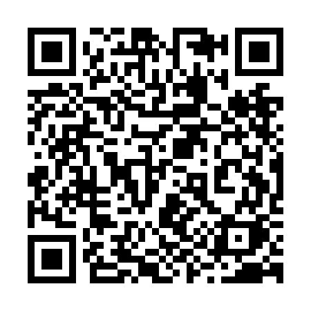QR code for 291NGK