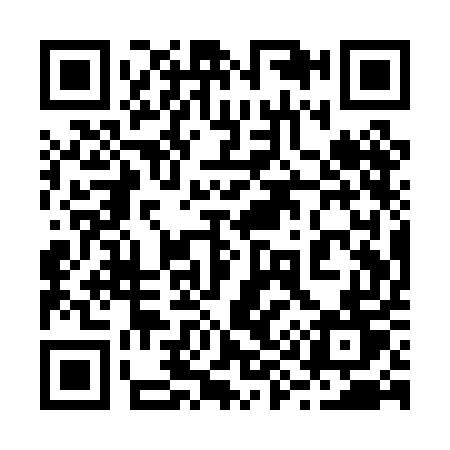 QR code for 291PET