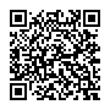 QR code for 291PIN
