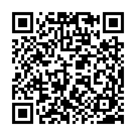 QR code for 291SVM