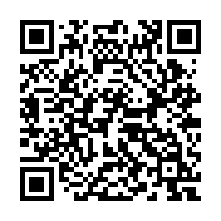 QR code for 293RAN