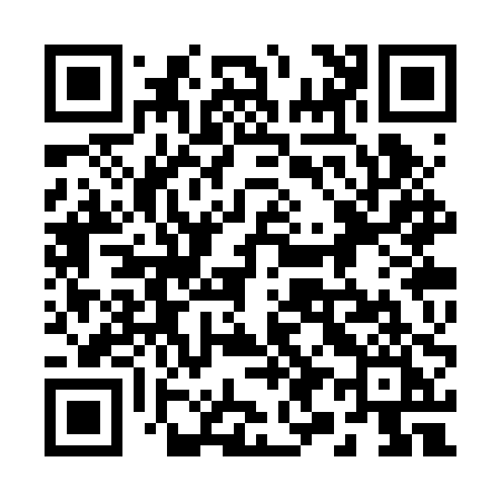 QR code for 293RPI