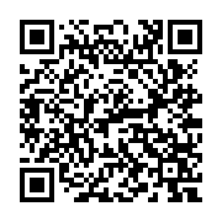 QR code for 293ZLW