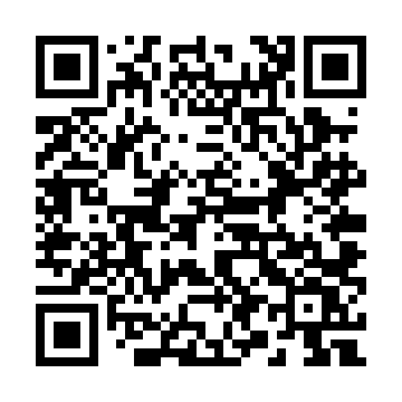 QR code for 294PLV