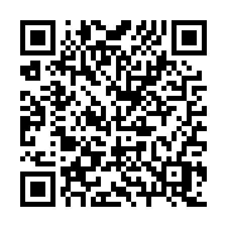 QR code for 294PPV