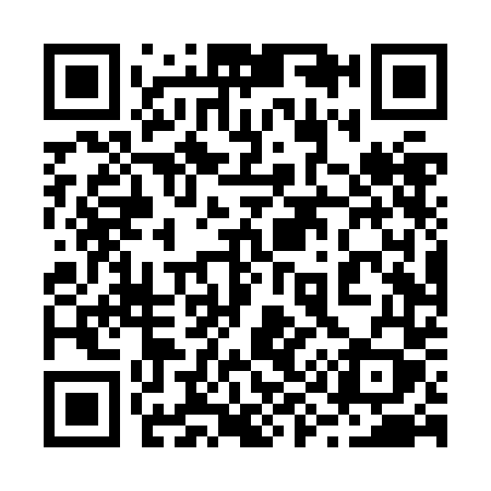 QR code for 294ZDY