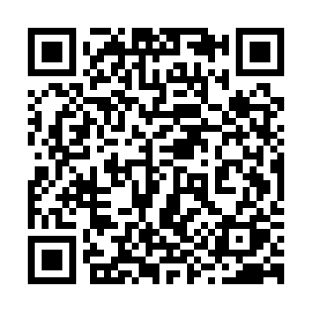 QR code for 295ARQ