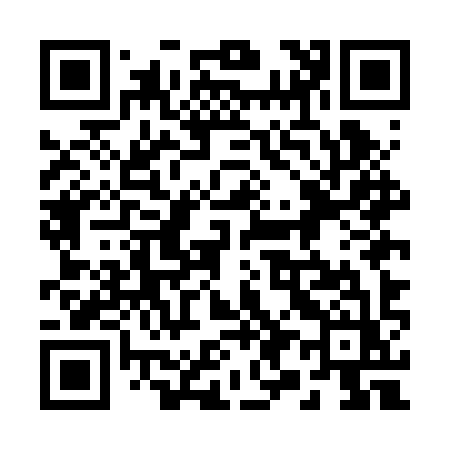 QR code for 295BYZ