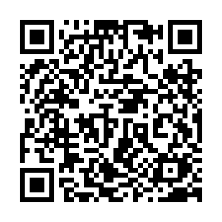QR code for 295CKM