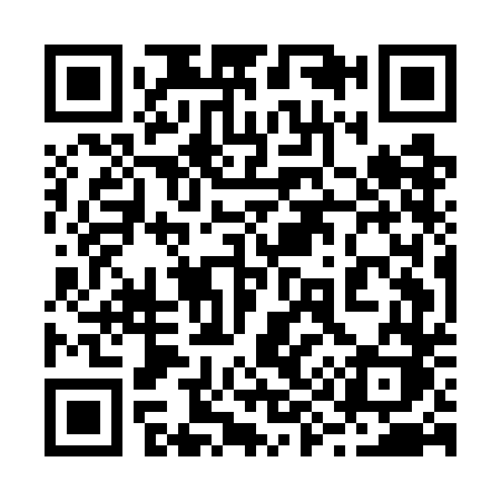 QR code for 295GDK