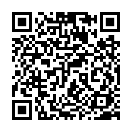 QR code for 295GRH