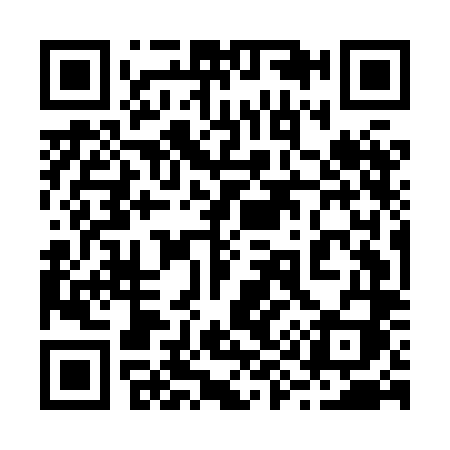 QR code for 295HLI