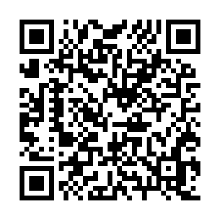 QR code for 295ITN