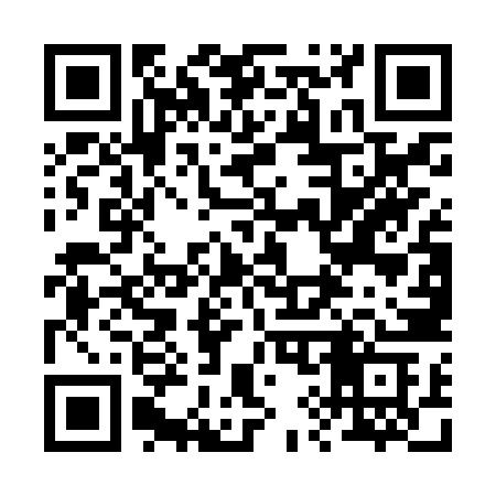 QR code for 295JZC
