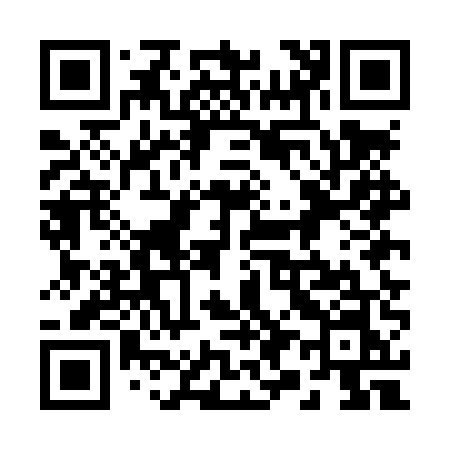 QR code for 295LUN