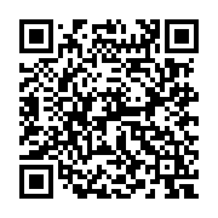 QR code for 295MEZ