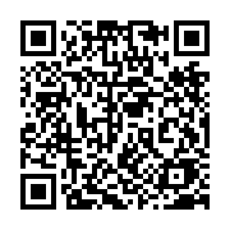QR code for 295NKE