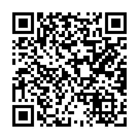 QR code for 295NMK