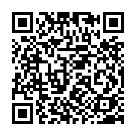 QR code for 295OCH