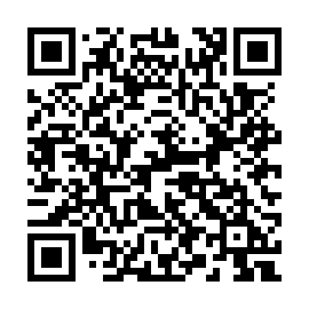 QR code for 295ORE