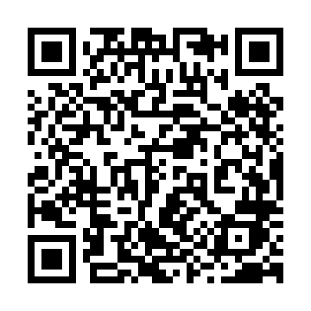 QR code for 295PLJ