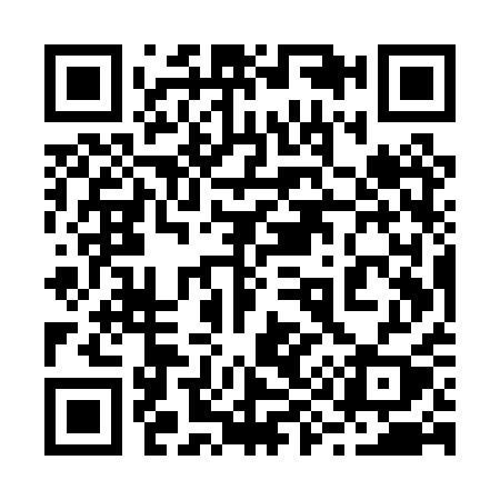 QR code for 295PQY