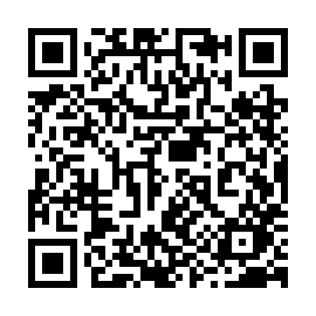 QR code for 295SHO