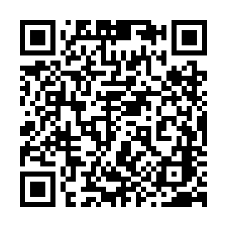 QR code for 295SNC