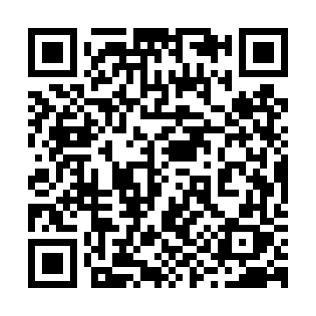 QR code for 295TVX